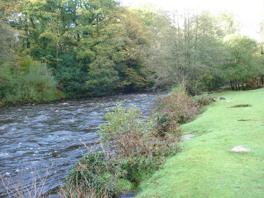 View alongside the river