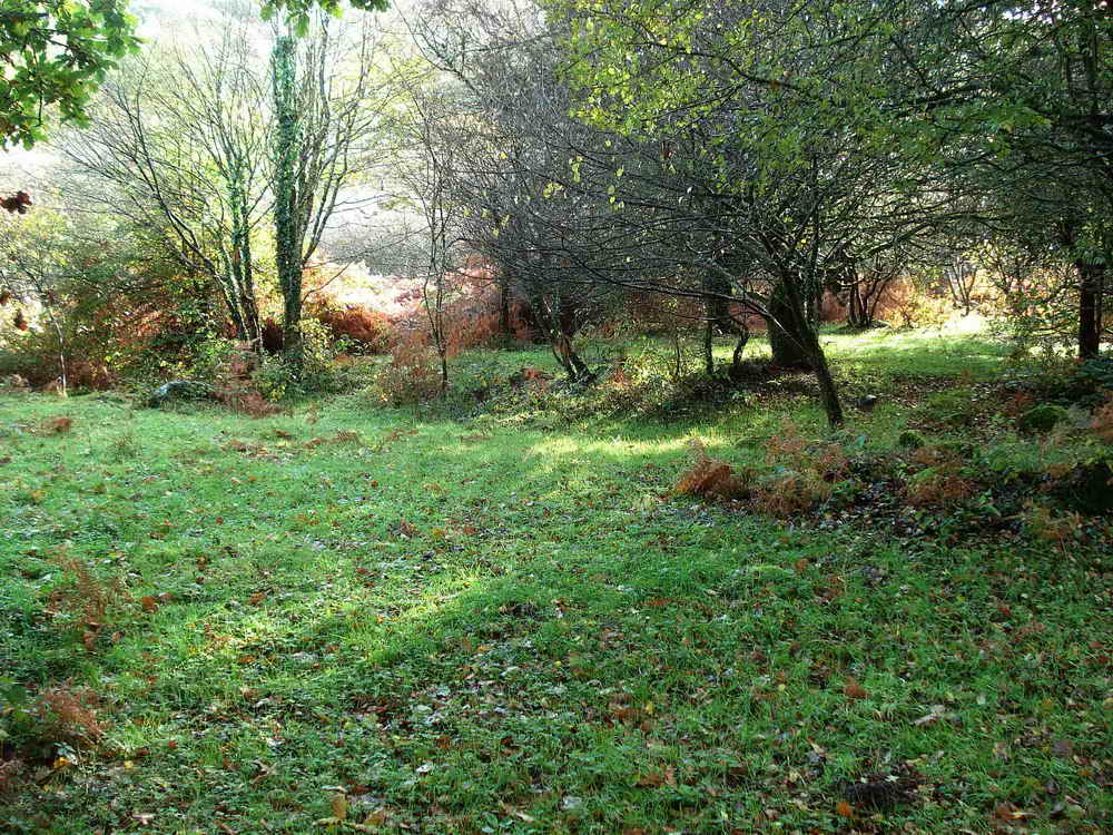 Looking across the “ramparts” and ditch around an Iron Age pound at SX713713