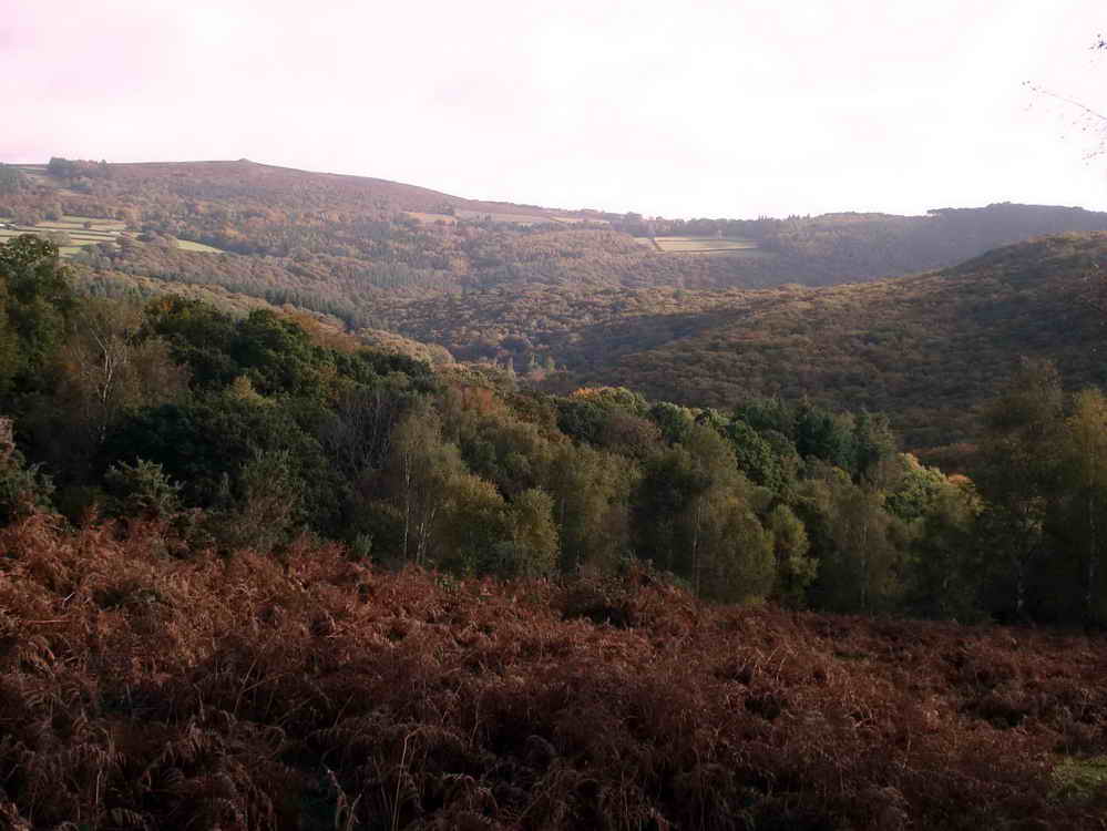 Climbing the slope at the back of Leigh Tor, looking towards Buckland Beacon on the horizon