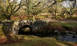 Featured image of post Norsworthy Bridge, Devonport Leat