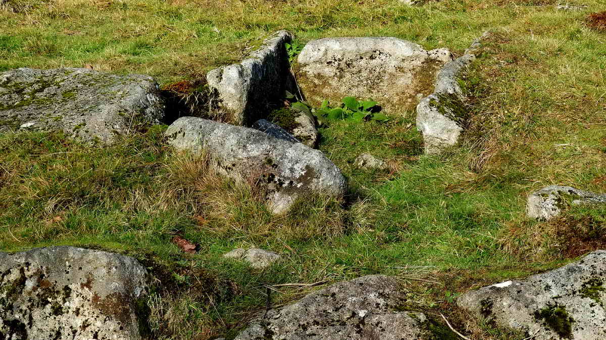 Closer view. “Kistvaen - A stone coffin, from from the Celtic cist, a chest, and maen, stone