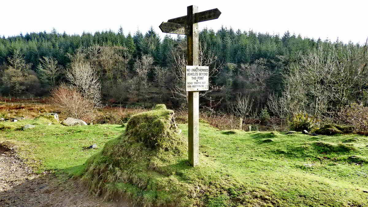 The signpost