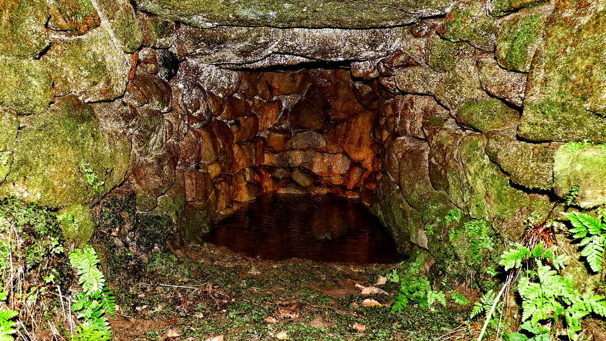 Fougou internal view