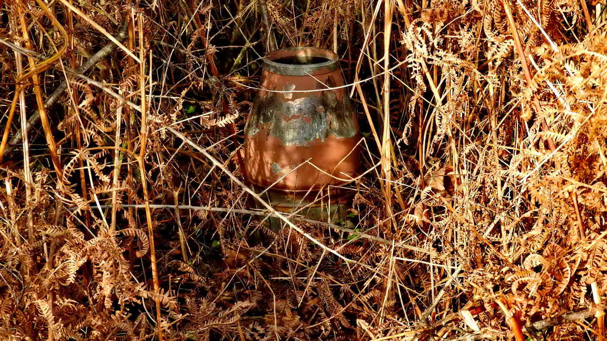 Rain collecting vessel in situ