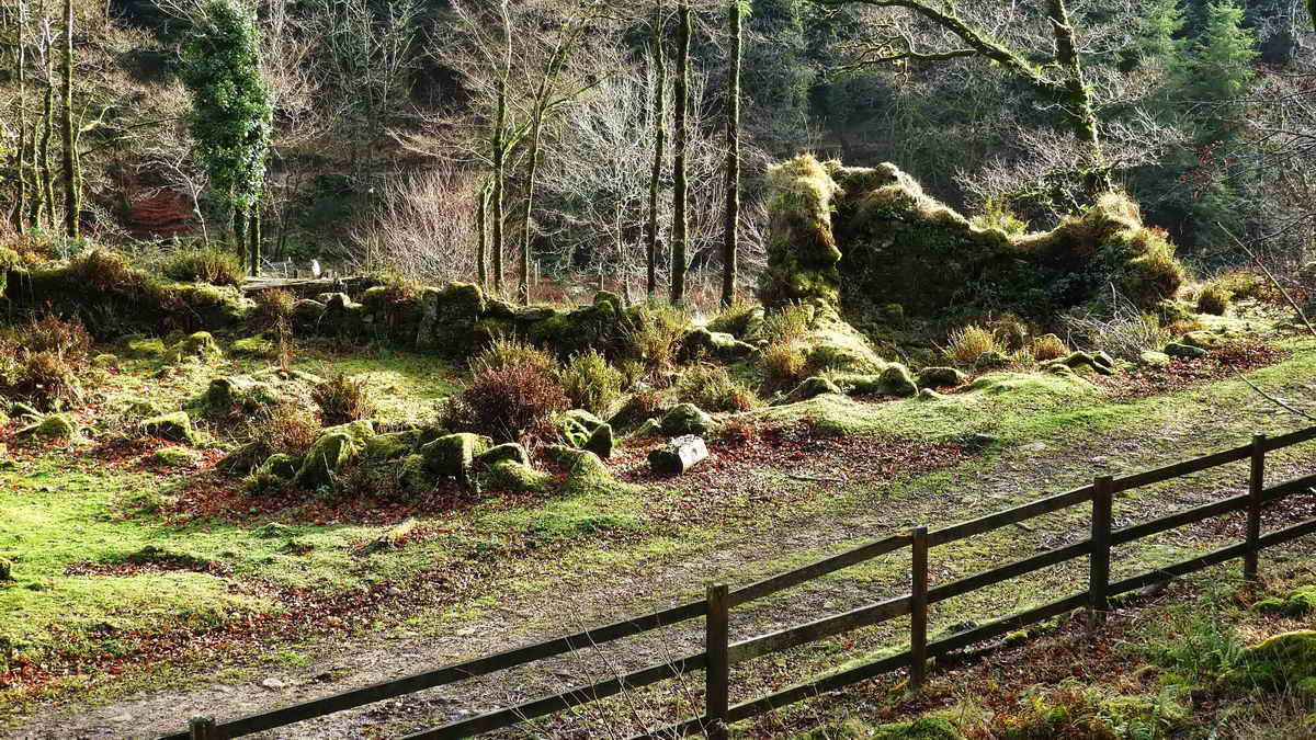 Looking across the track that goes to Devonport Leat, at the old buildings of the farm, once part of West Leathertor, beside the Cross Gate-Older Bridge track