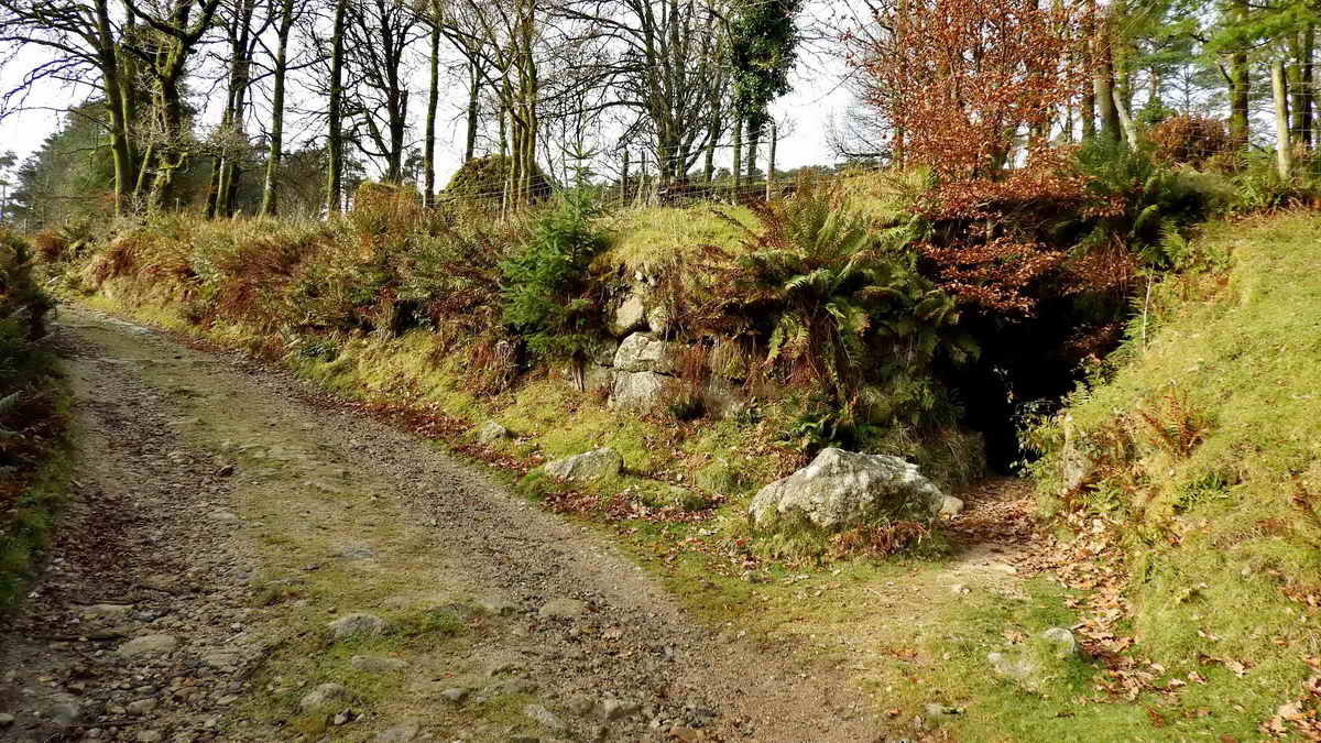 About 50 metres down the road towards Leather Tor Bridge, at SX 5671 6981, a potato cave, 32 x 7 x 8 ft high. It is described by Eric Hemery, High Dartmoor, page 126. It would have been used for storing root crops, such as potatoes and swedes - no doubt for their pasties!