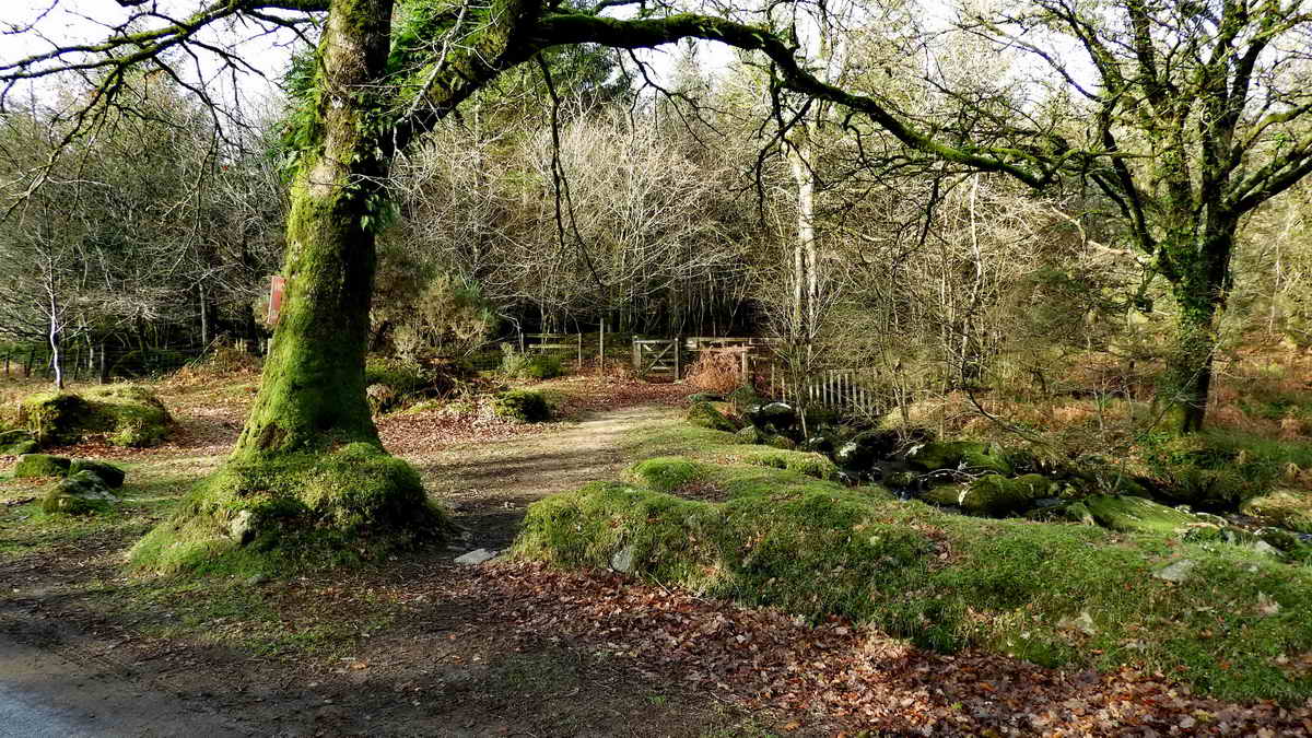 The small gate in the centre of this photograph gives access to today’s walk. It is a few yards back over the bridge from the car park. A few yards inside the gate is a ruined “blowing house” 