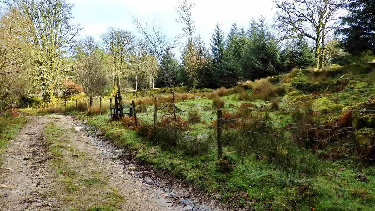 The site of Riddipit farm beside Riddipit Lane