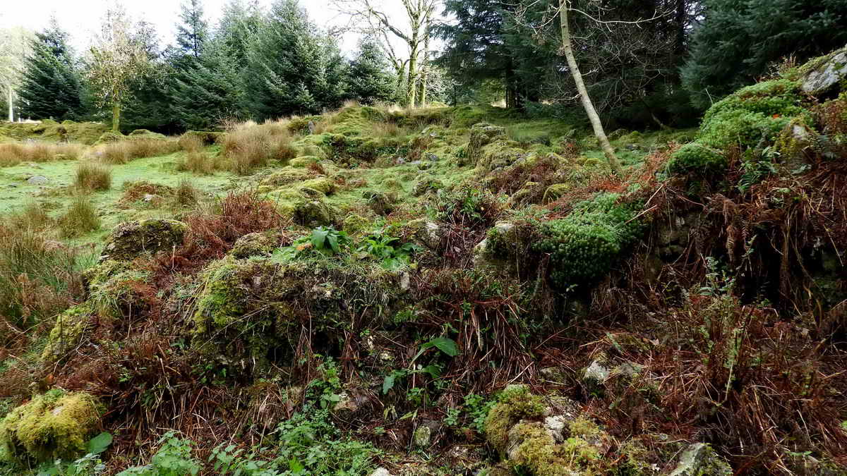 Looking upslope along the length of the longhouse.  I measured the house at 24.4 x 5.33 metres (80 x 17.5 feet), using a 50-metre tape