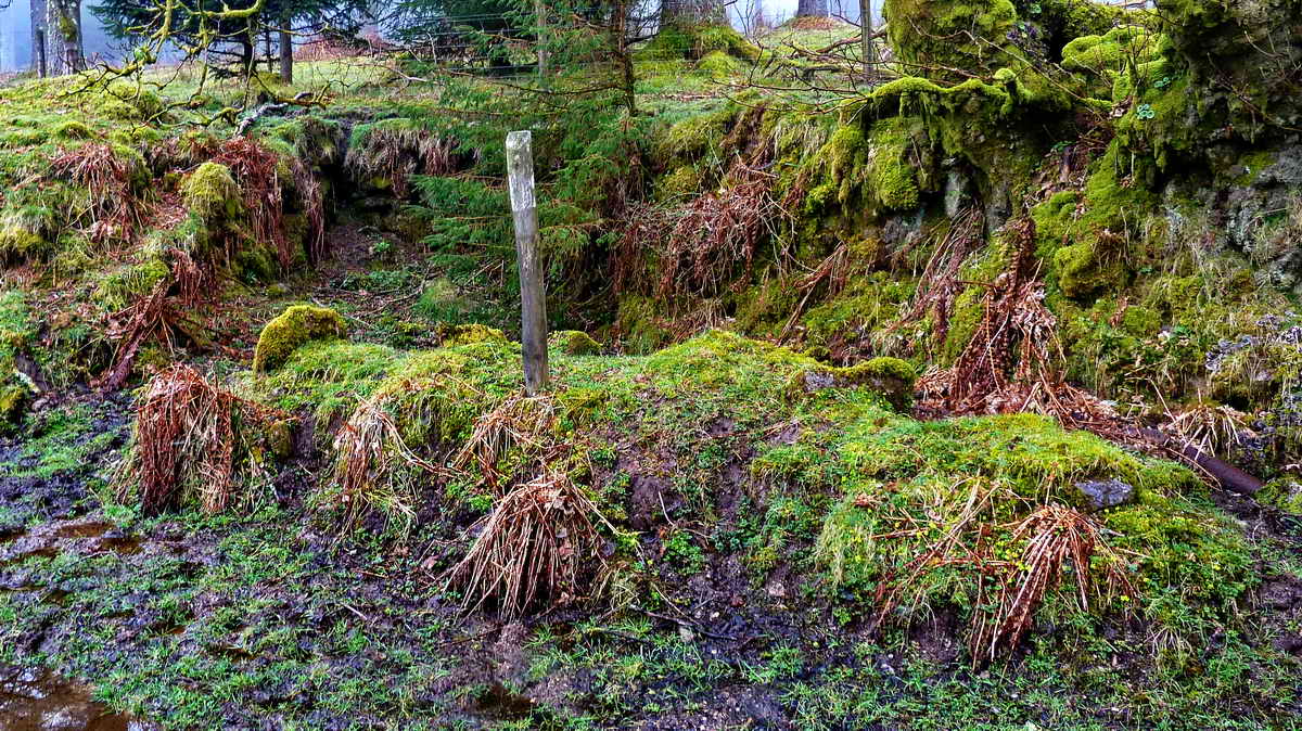 Riddipit Tin Mill right beside the track, at SX 57020 70162