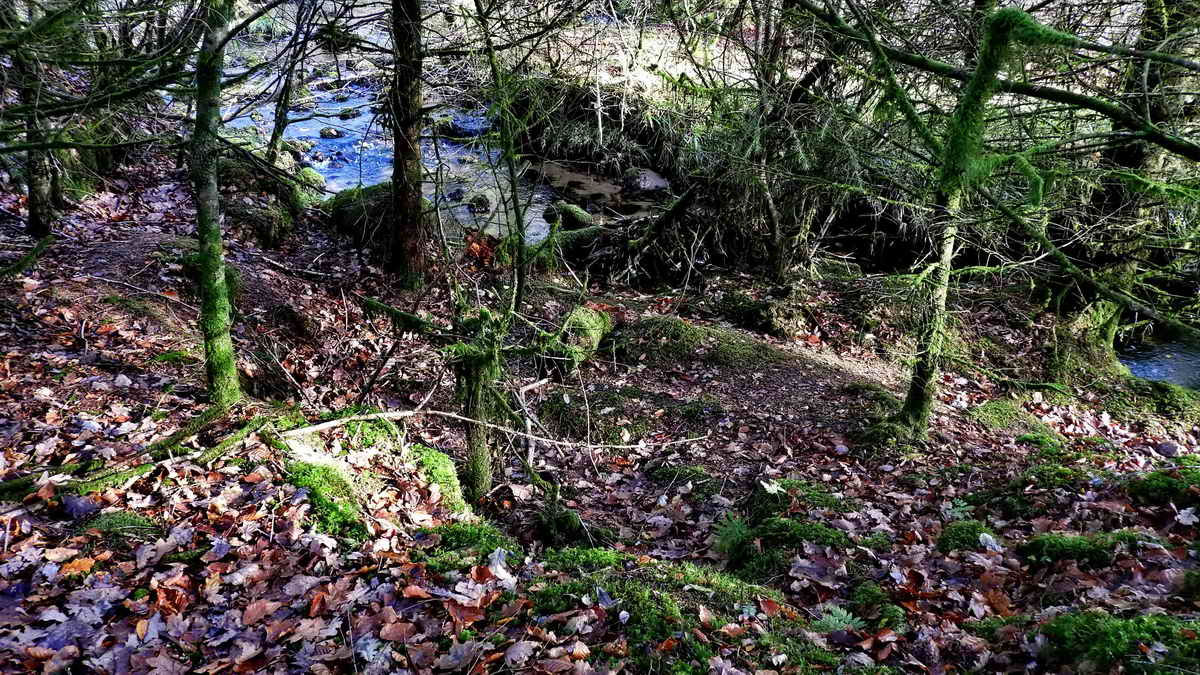 Looking down on the tin mill site, beside the River Meavy. 