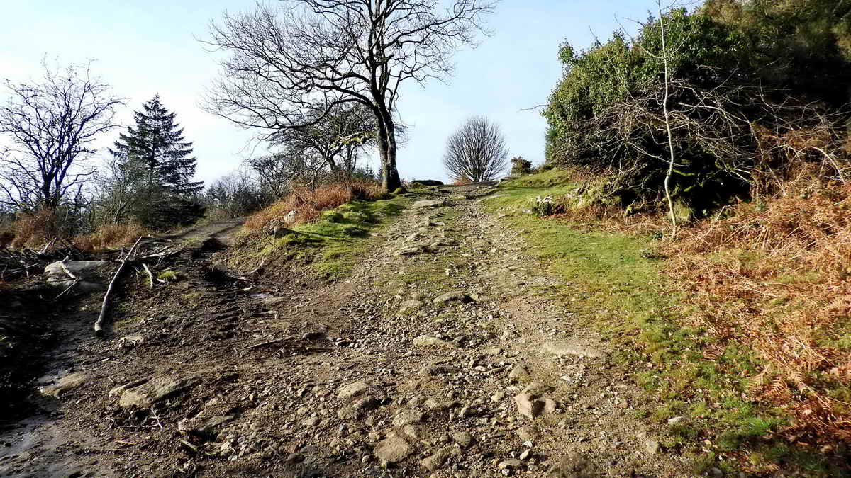 Approaching Devonport Leat