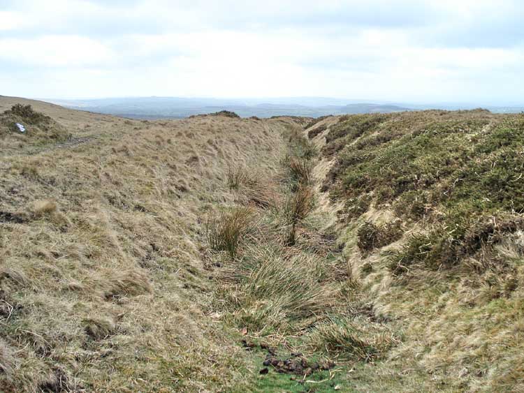 Ancient sunken track, near to the Applecrusher