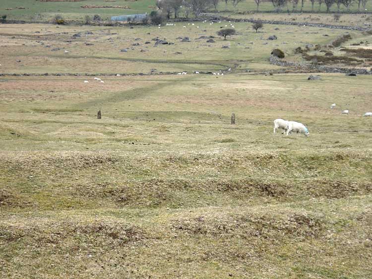 Two granite posts. The Irons Gates (Referred to by William Crossing) marked the Kings’ Way ancient track