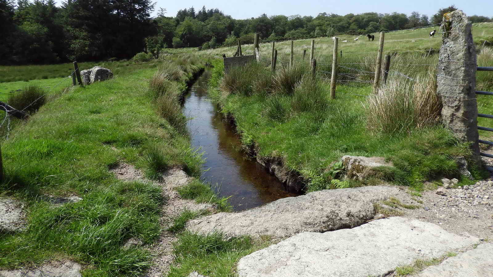 Devonport Leat and an old clapper bridge. The field on the right once had a mine, as shown on the Tithe Map (see below)