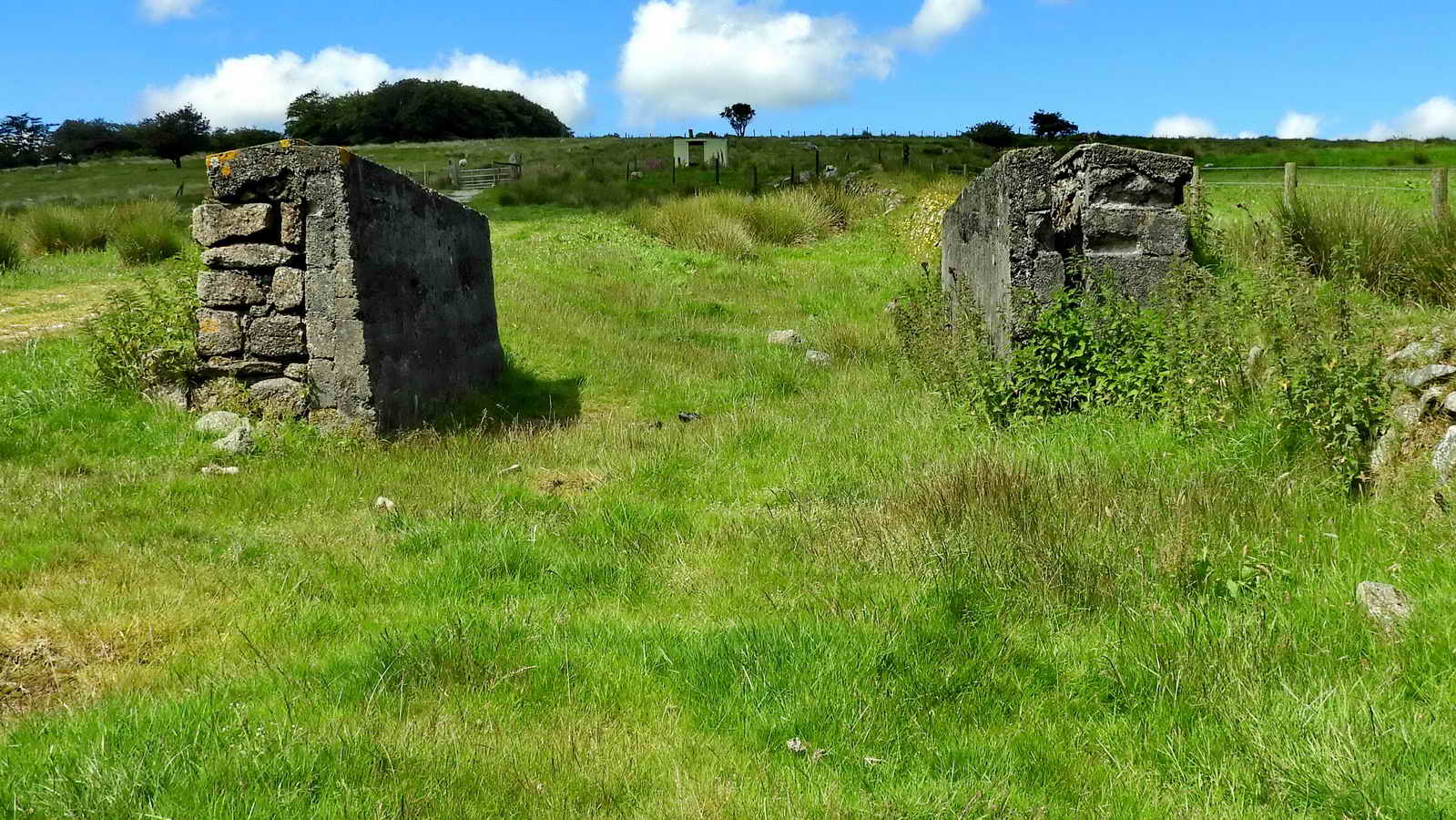 Just down the slope from Devonport Leat, a pair of massive walls. Purpose unknown