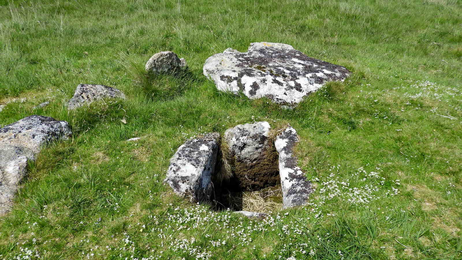 Looking into the cist