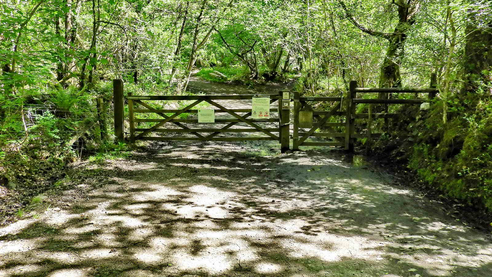 Puddingstone Gate down to Hisley Bridge. 	SX 77961 79977