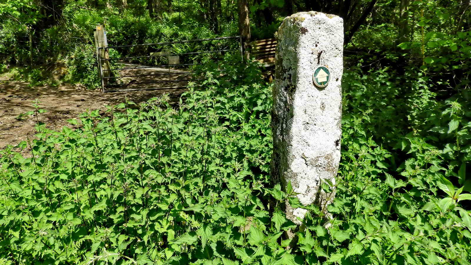 The white-lichen covered granite pillar marking the exit of the meadow onto the road