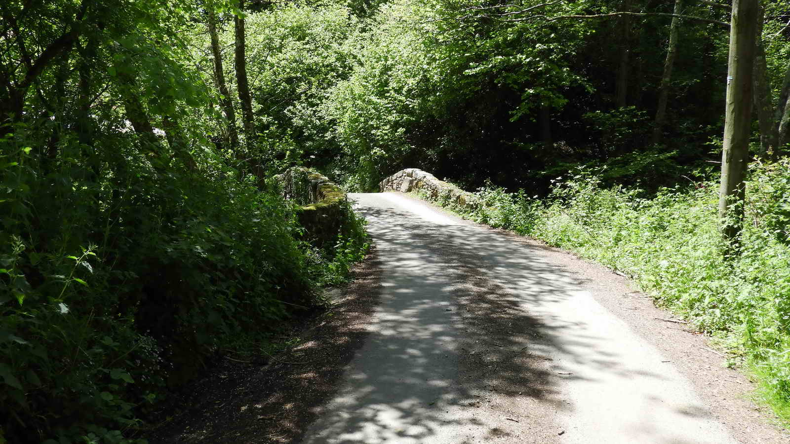 Packsaddle Bridge over the Wray Brook