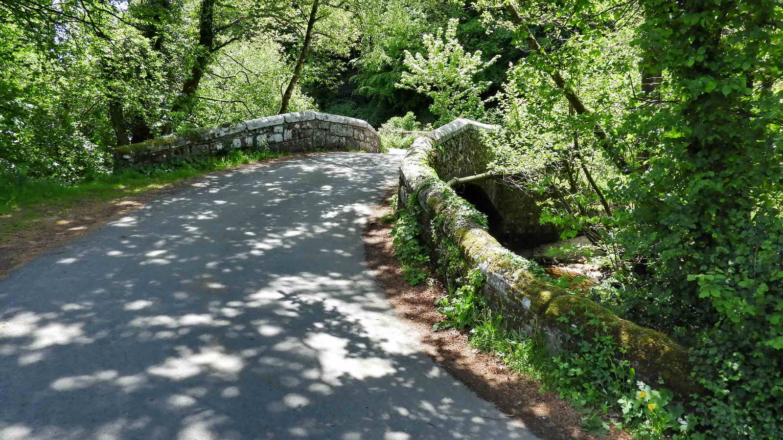 Drakeford Bridge over the River Bovey. SX 78935 80133