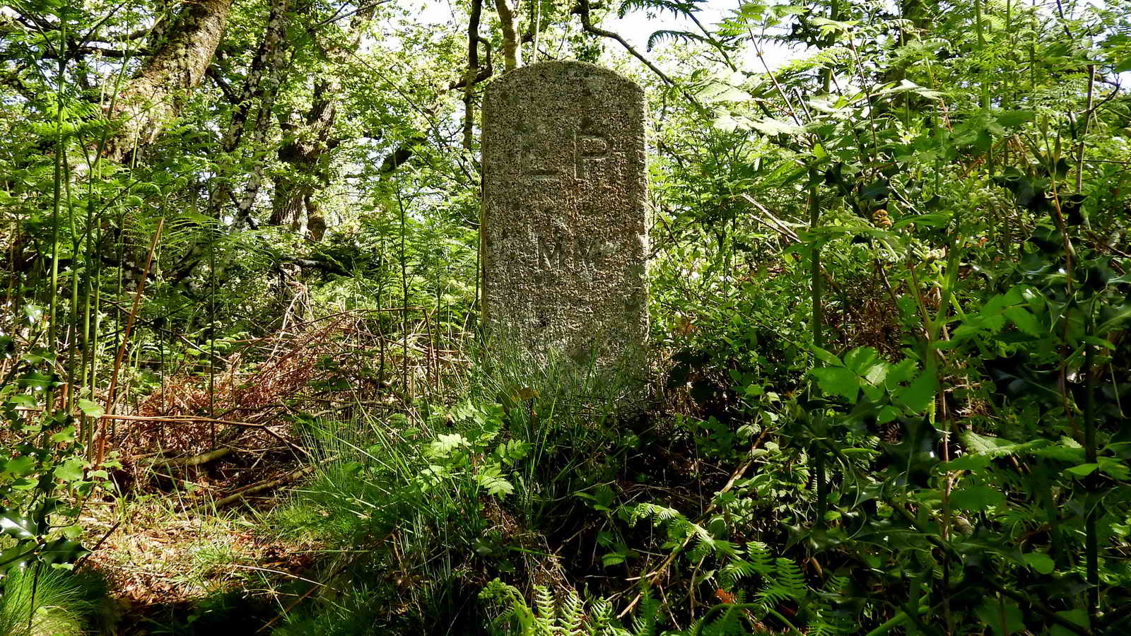 Near to the junction, the LP MM Stone