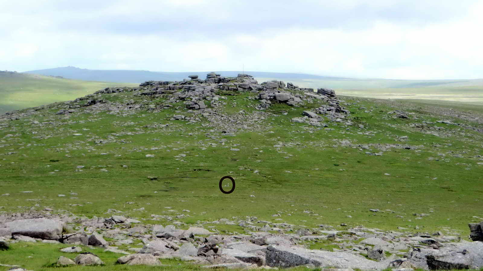 Looking North towards Roos Tor at SX 543 766. Elevation 454 metres (1489 feet). Note the two old markers circled