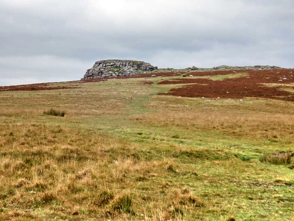 Sheeps Tor in the distance