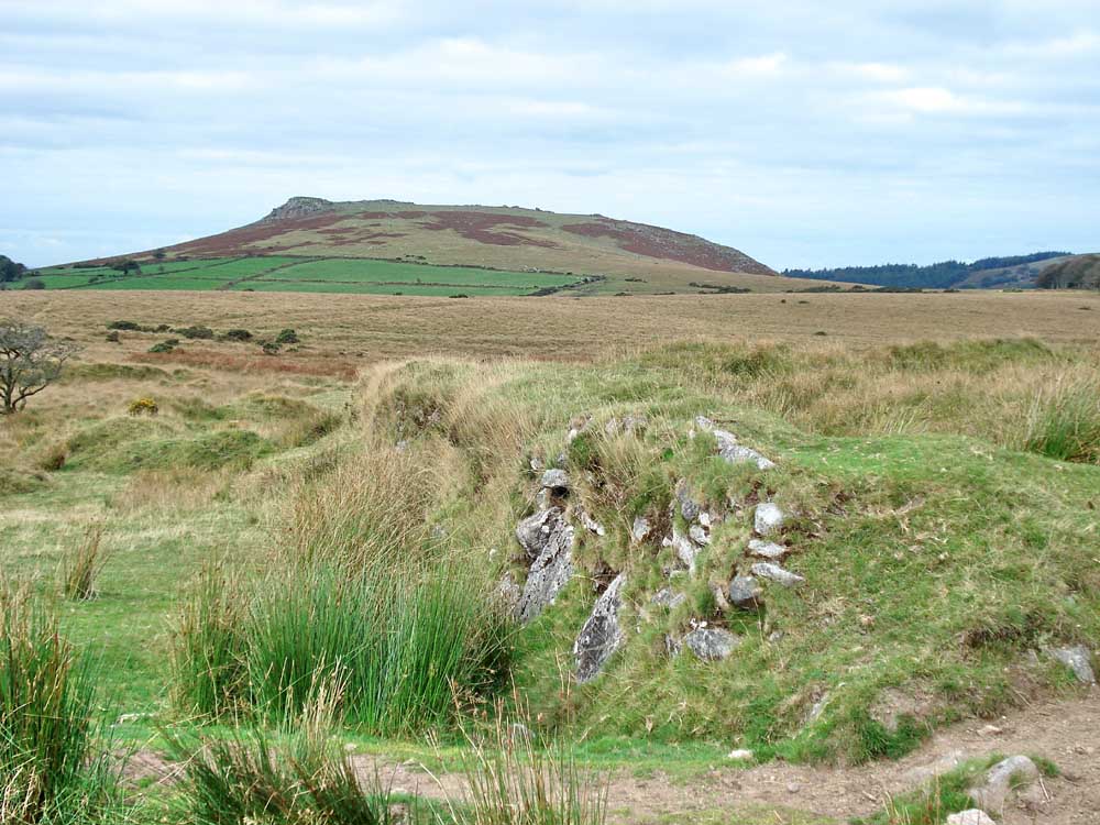 Sheeps Tor from a corn ditch wall at SX 58092 67935