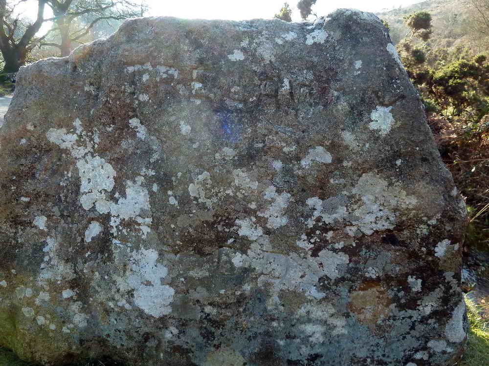 Eastern face: Trelawney and MH DD