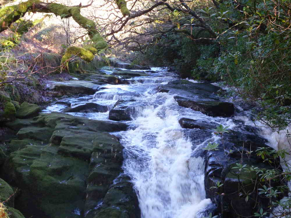 The River Avon close to Shipley Bridge