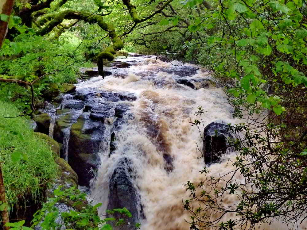 The River Avon in spate