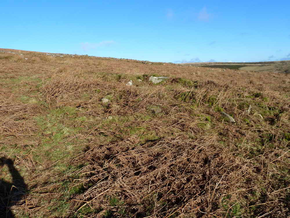 Approaching Rider’s Rings