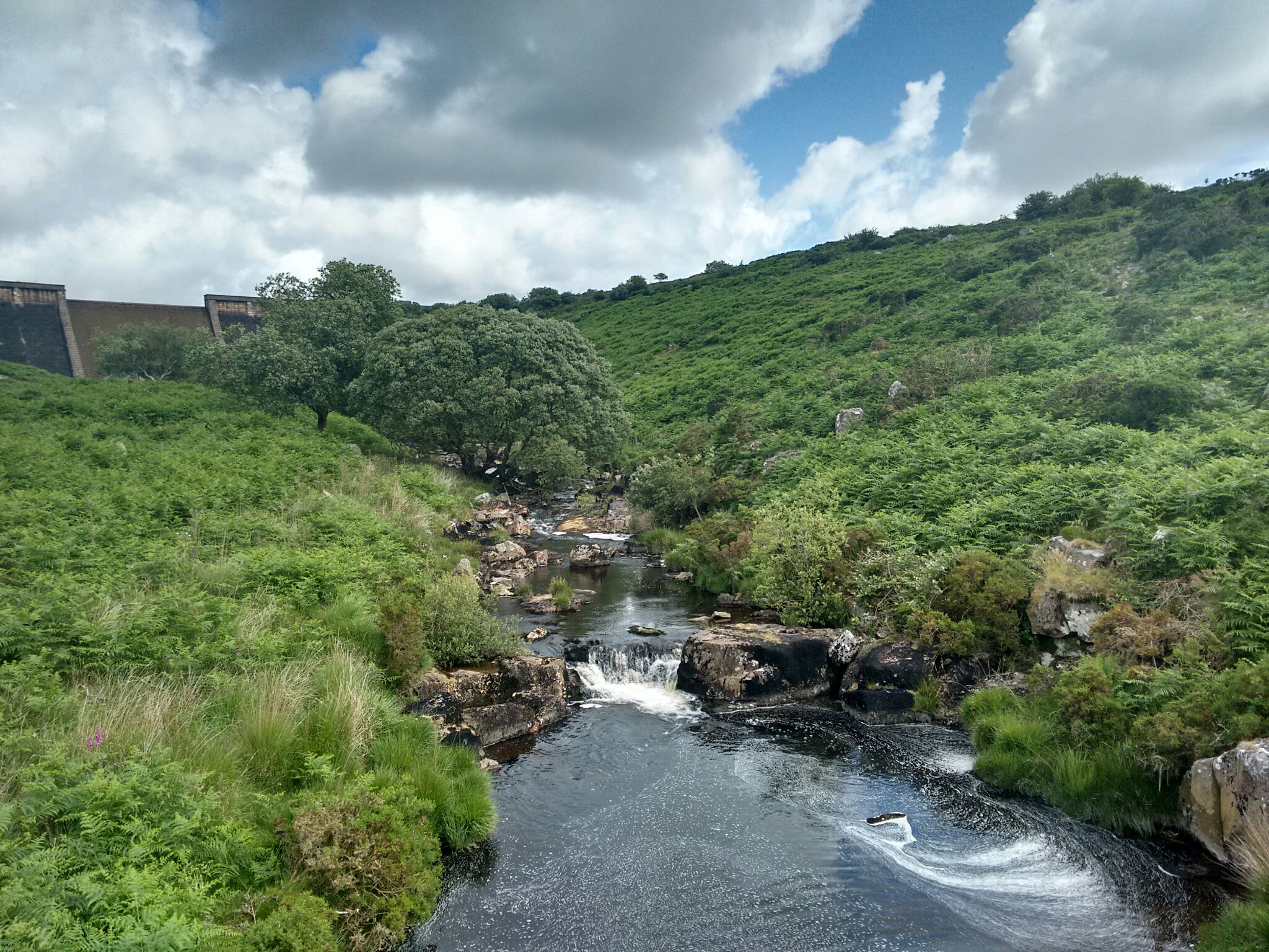 The River Avon just down from the Dam