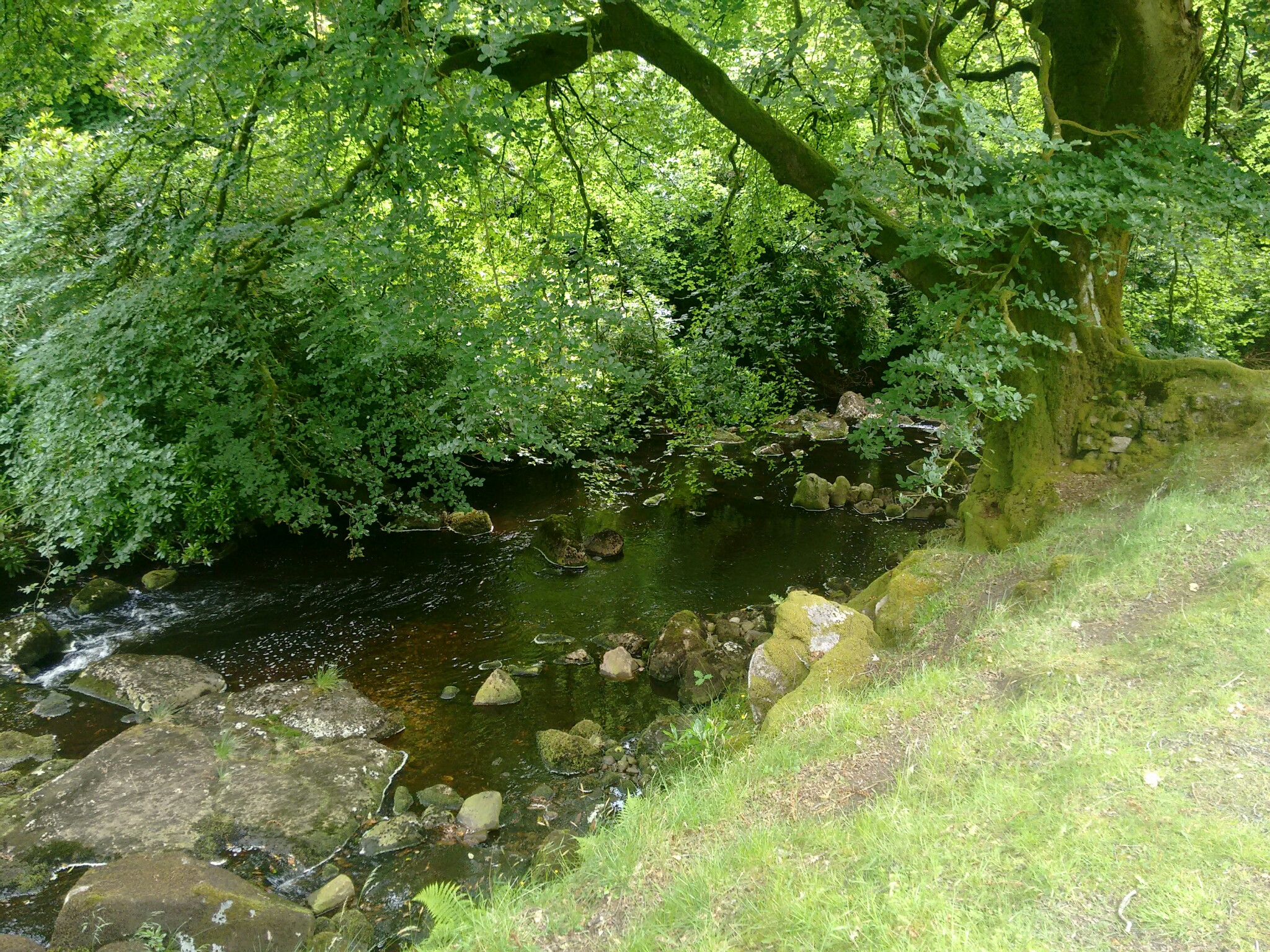 Same wall from upstream