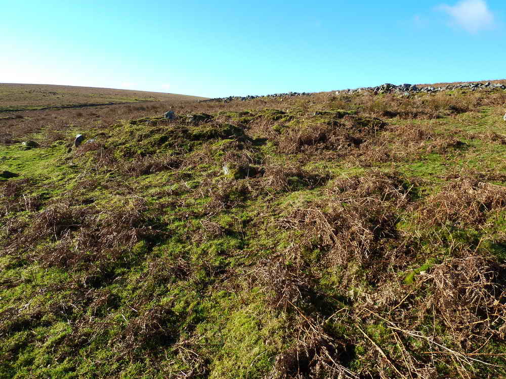 Looking at the remains of two round houses (hut circles) inside the settlement