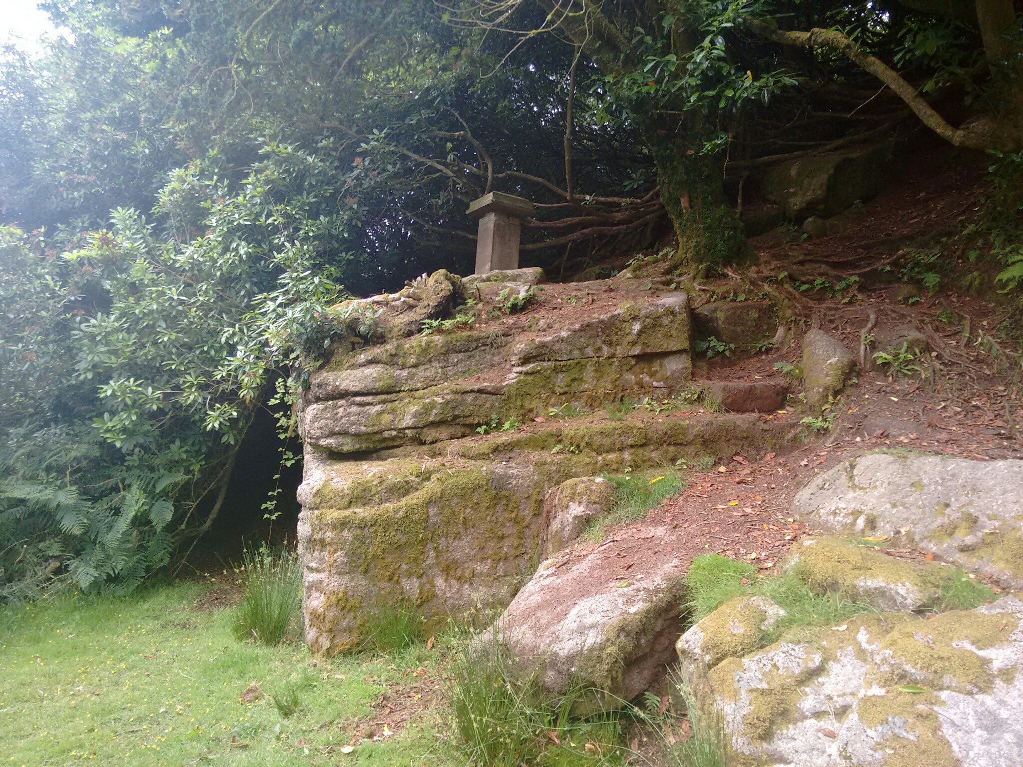 Looking up from the side