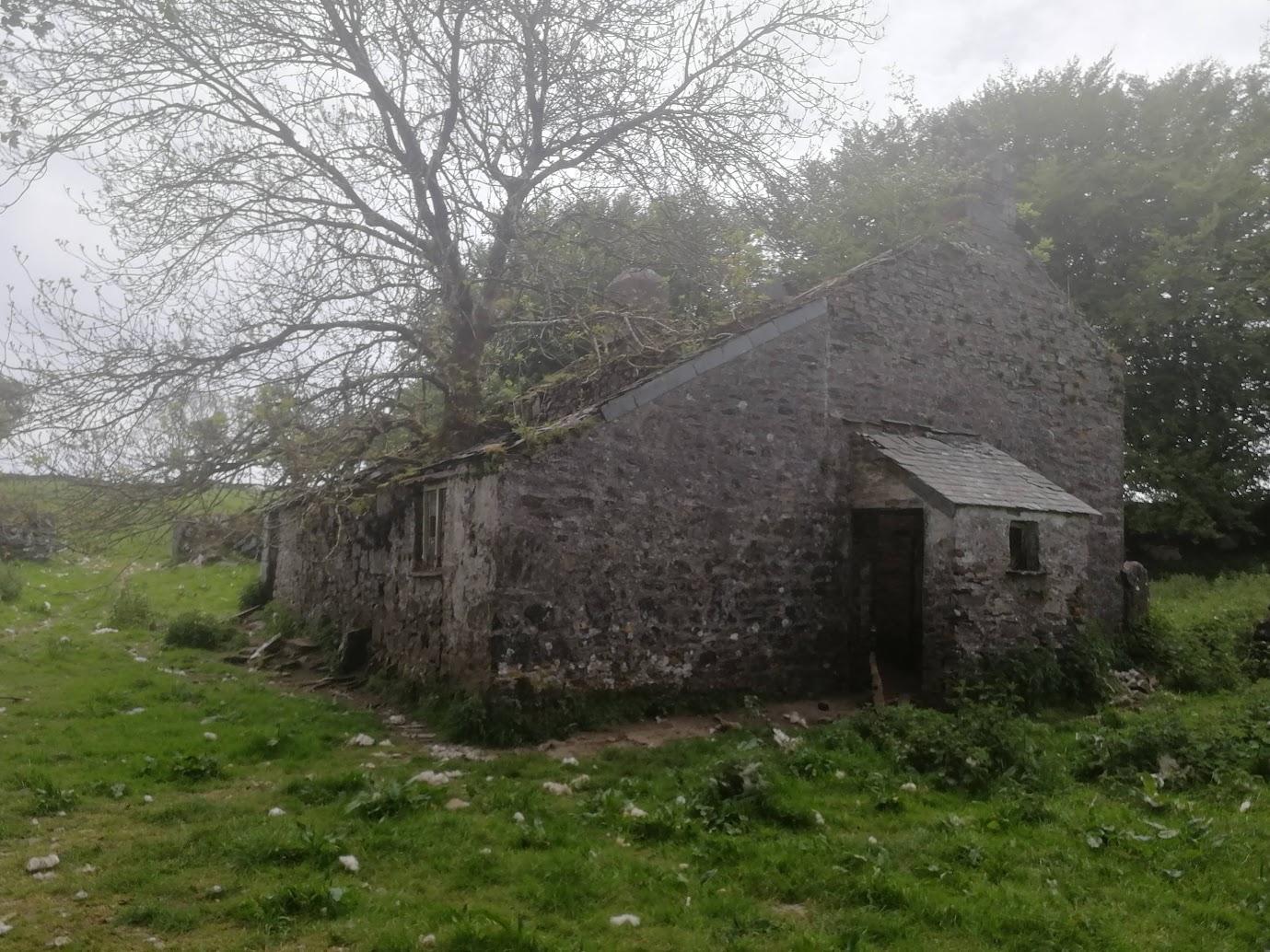 End view of the farmhouse