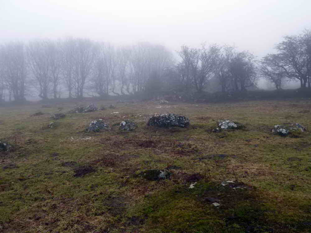 Believed site of one of the last attempted  “venville” holdings, the row of large stones with a pile by the gate