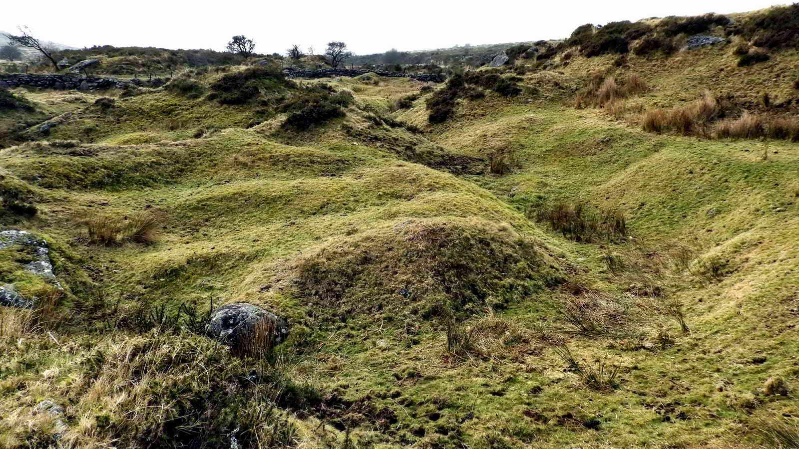 Long Ash Pits