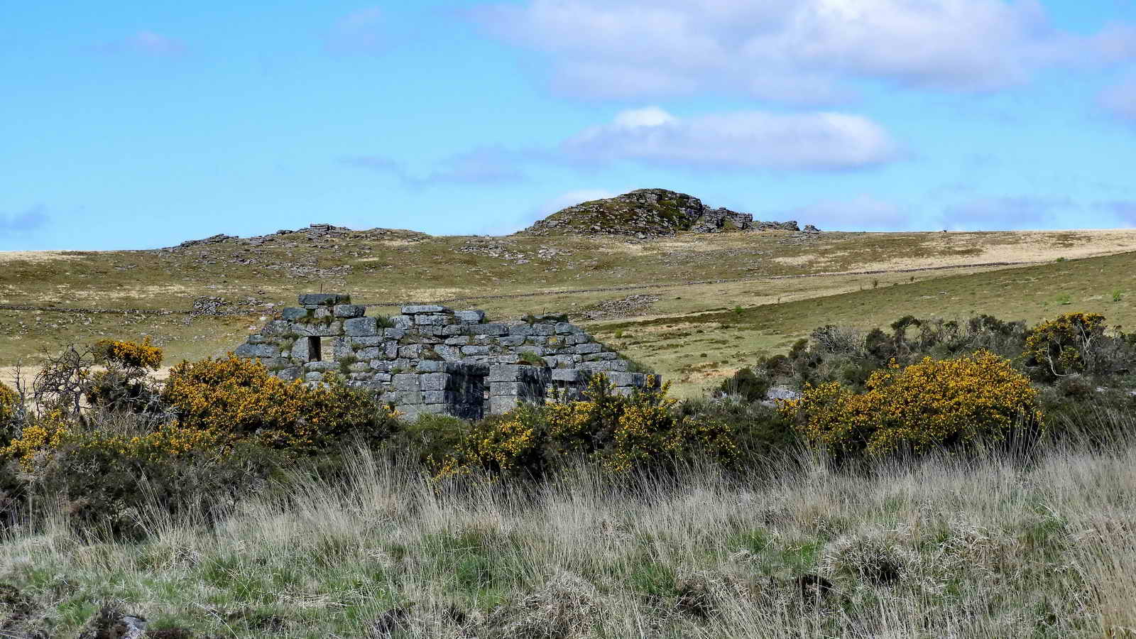 Scene approaching the top (north end) of the Powdermills site, with the first Incorporation Mill (“wheelhouse”) and Longaford Tor. Photo taken by the entry gate