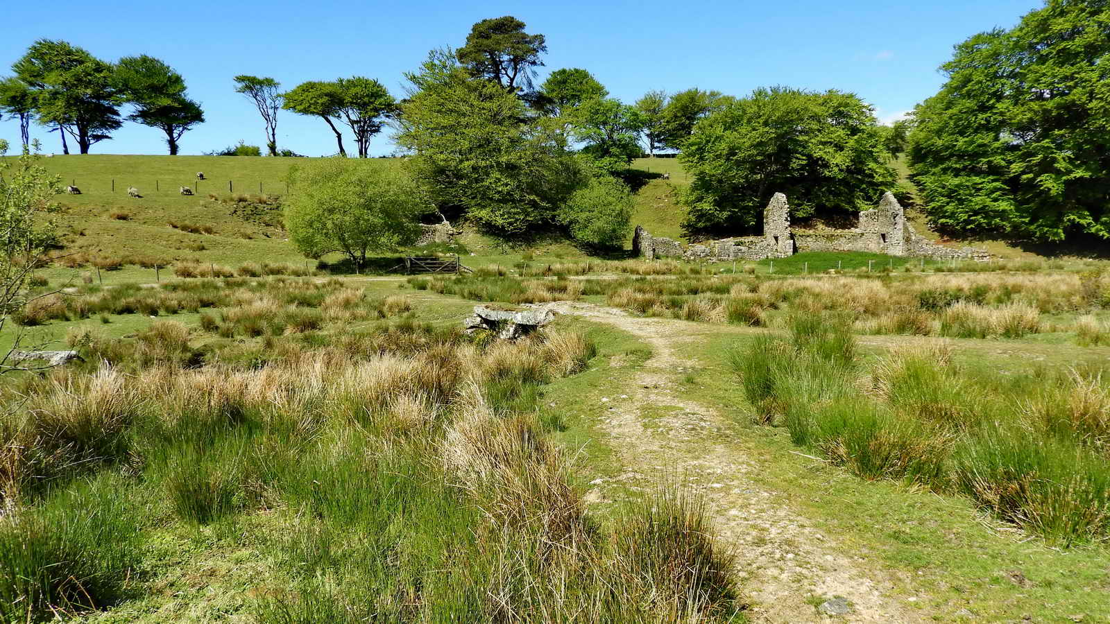 Ahead is the Cherry Brook which is crossed by a clapper bridge