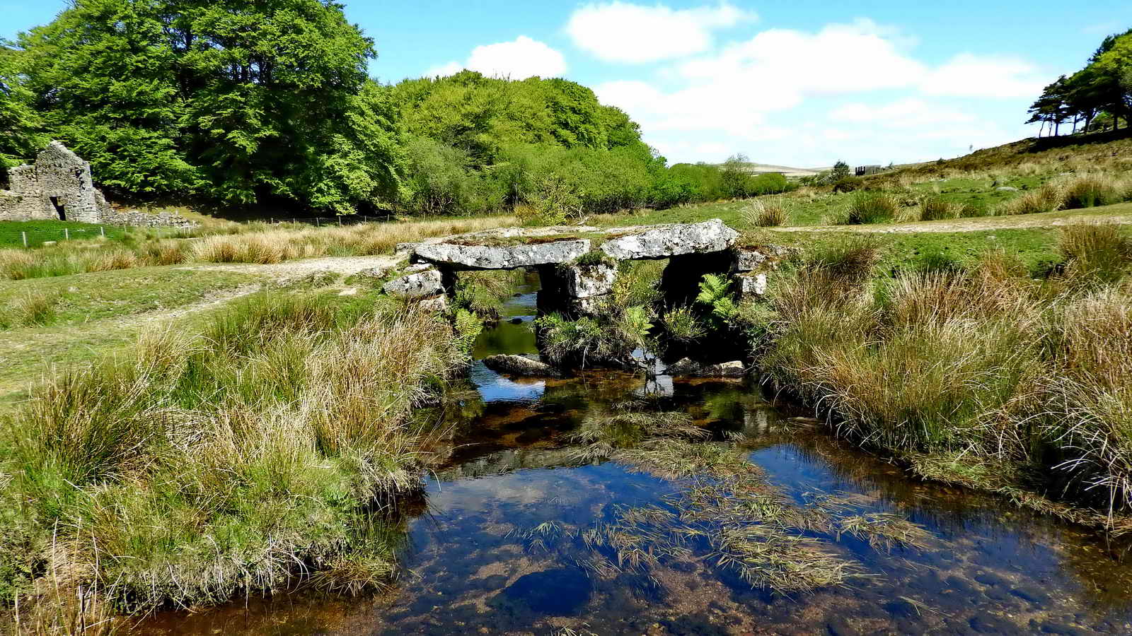 A view of the Cherry Brook and clapper bridge