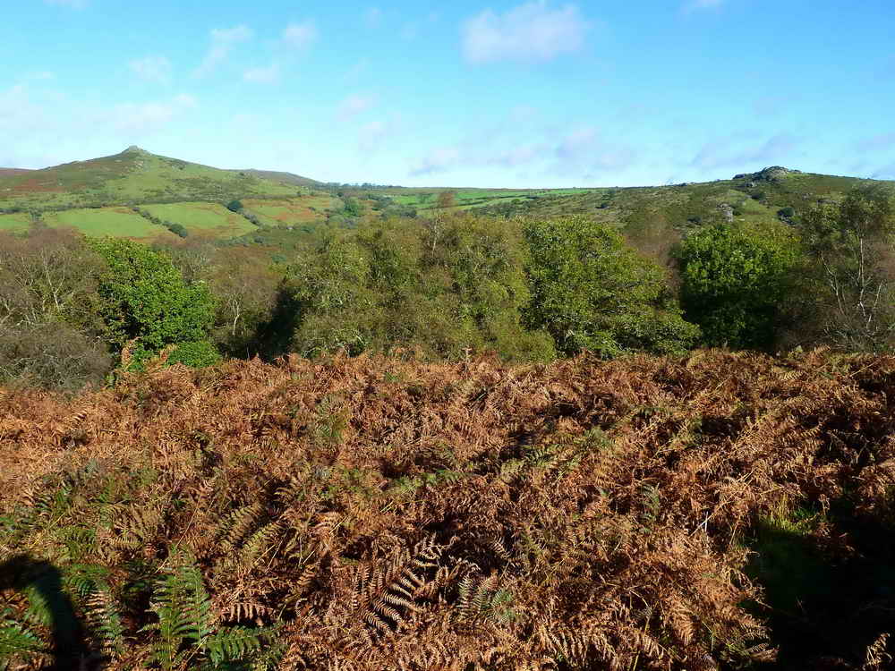 Sharp Tor (left) and Mel Tor (right), SX 693 726, elevation 346 metres (1135 feet)