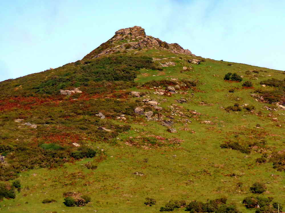 Sharp Tor