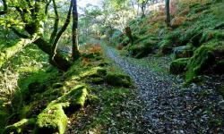 Featured image of post Venford Reservoir, Holne Moor