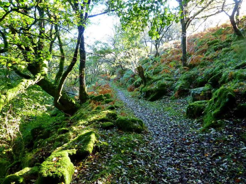 Featured image of post Venford Reservoir, Holne Moor