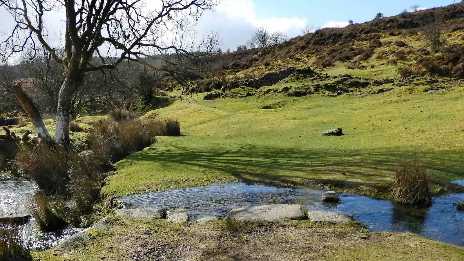 Looking across Rex’s clapper bridge to the blacksmith’s ruins. Miners’ dry ruins to the right. The grass path immediately left of the ruins that leads to the turbine house and wheelpit site