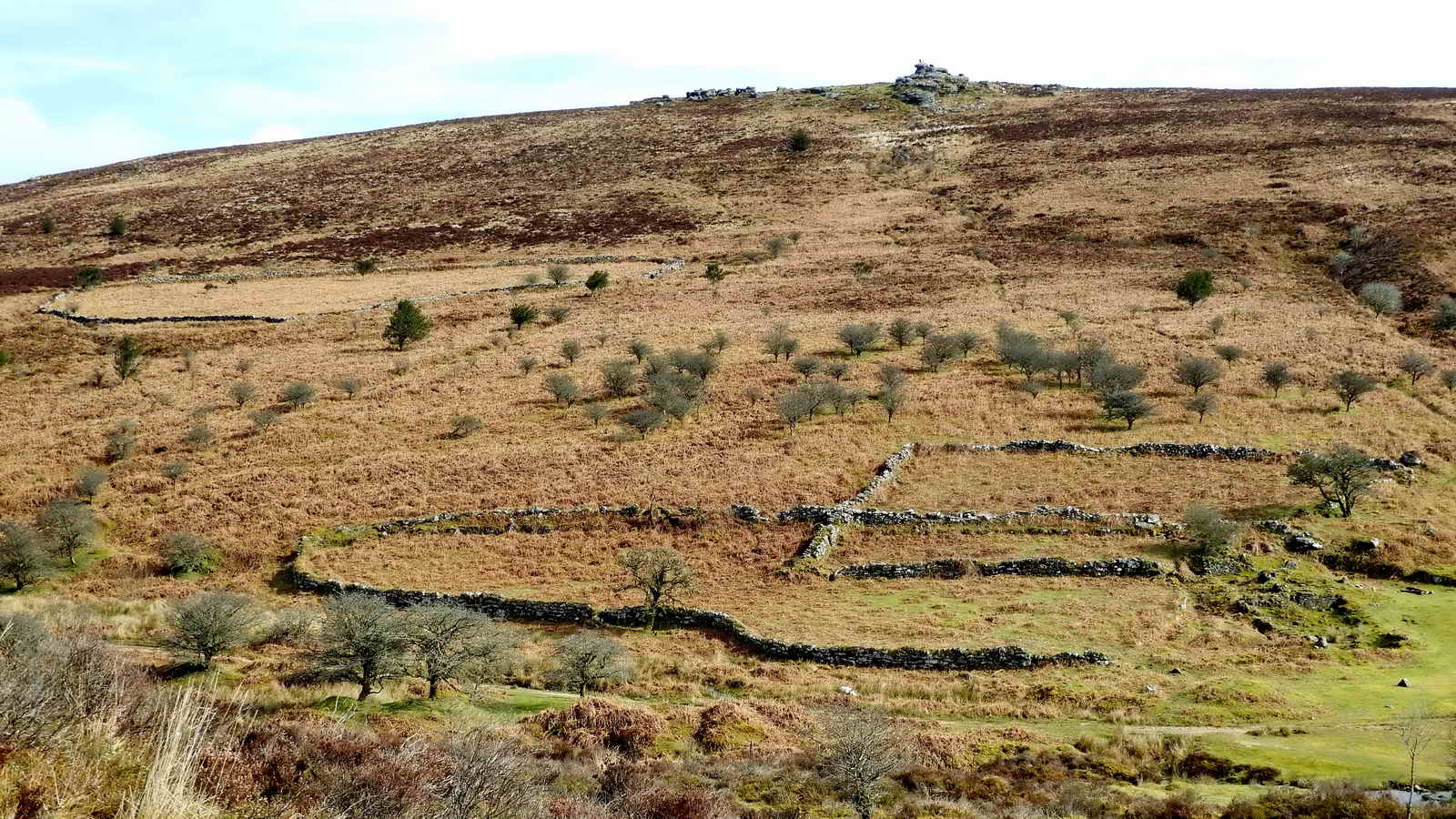 A view across the Vitifer site up to Birch Tor. The enclosures are marked as “gardens” in the tithe apportionments, behind the ruins of the miners’ house, this being the barracks with the kitchen and canteen (downstairs) and the dormitory (upstairs)