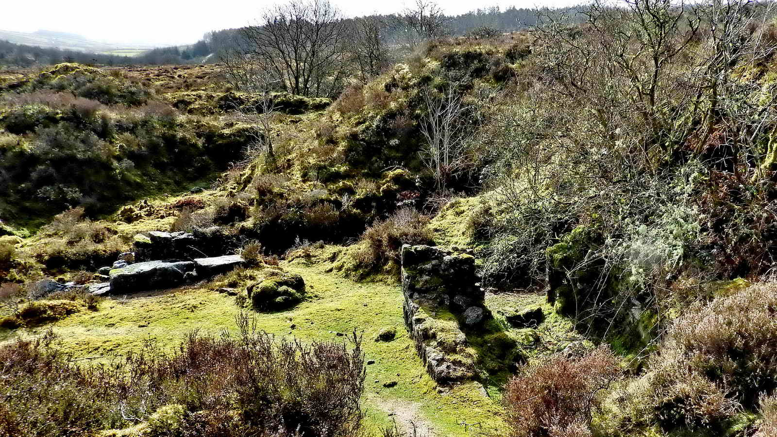 SX 6815 8091 - the site of the turbine house (bottom right) and a large water wheelpit (left side)